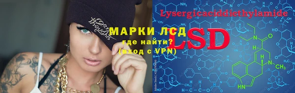 шишки Верея