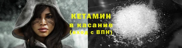 шишки Верея