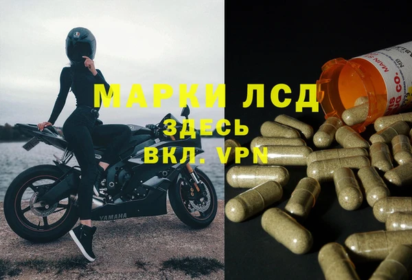 шишки Верея