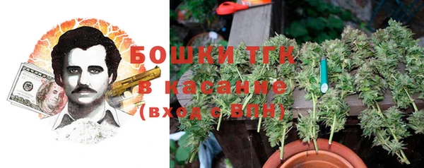 шишки Верея