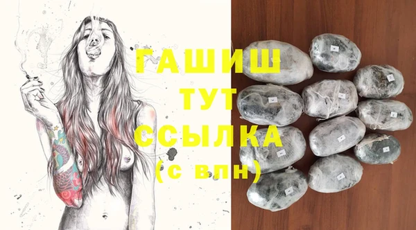 шишки Верея