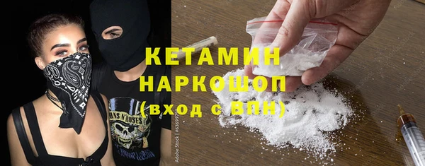 шишки Верея