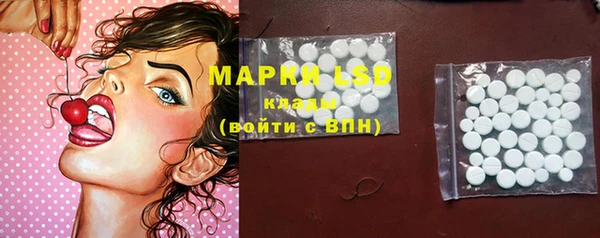 шишки Верея