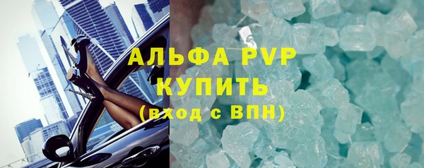 шишки Верея